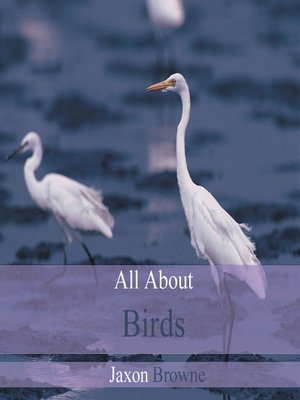cover image of All About Birds